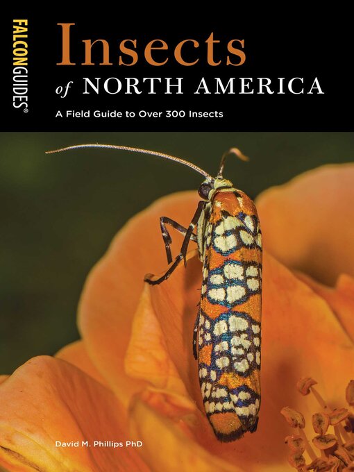 Title details for Insects of North America by David M. Phillips - Wait list